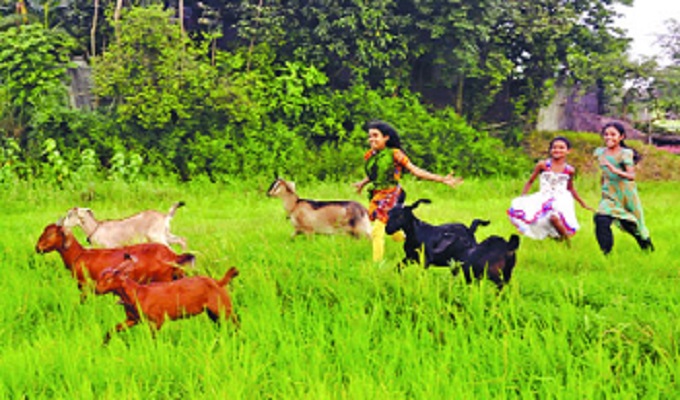 ফাইল ছবি