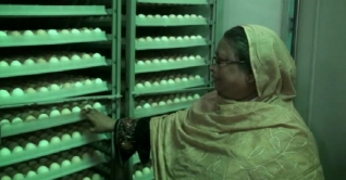 নাটোরের হোসনে আরা যেতে চান বহুদূর নাটোরের হোসনে আরা যেতে চান বহুদূর