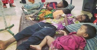 পটকা মাছ খেয়ে দাদী-নাতনির মৃত্যু, হাসপাতালে ভর্তি ৭