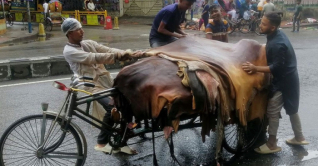 কোরবানির পশুর চামড়ার দর নির্ধারণ করেছে সরকার