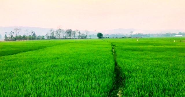 ফাইল ছবি