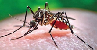 ঢামেকে ডেঙ্গুজ্বরে আরও এক নারীর মৃত্যু