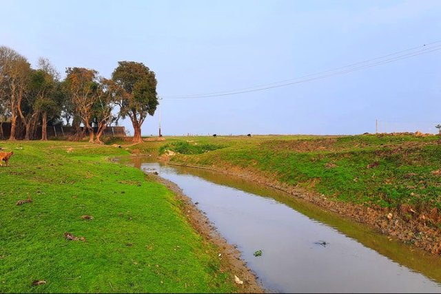 ফাইল ছবি