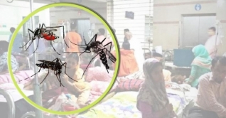 ডেঙ্গু আক্রান্ত ৩৪ হাজার ৬৬৬ জন ডেঙ্গু আক্রান্ত ৩৪ হাজার ৬৬৬ জন
