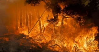 ক্যালিফোর্নিয়ায় ভয়াবহ দাবানল, জরুরি অবস্থা জারি ক্যালিফোর্নিয়ায় ভয়াবহ দাবানল, জরুরি অবস্থা জারি