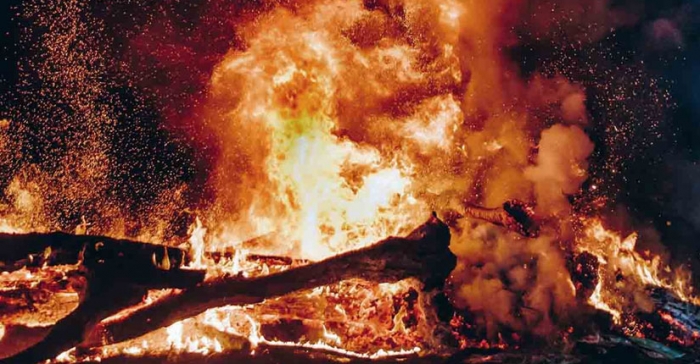 ছবি: ইন্টারনেট