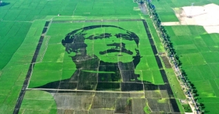 গিনেস বুকে স্থান পাচ্ছে শস্যচিত্রে বঙ্গবন্ধুর প্রতিকৃতি গিনেস বুকে স্থান পাচ্ছে শস্যচিত্রে বঙ্গবন্ধুর প্রতিকৃতি