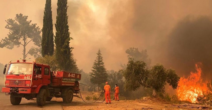 ছবি: ইন্টারনেট