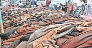 কোরবানি পশুর চামড়ার দাম নির্ধারণ