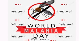 দেশে ম্যালেরিয়ায় মৃত্যু কমেছে ৯৪ শতাংশ