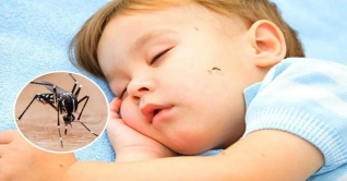 বর্ষায় মশার উপদ্রব থেকে বাঁচতে ঘরোয়া উপায় বর্ষায় মশার উপদ্রব থেকে বাঁচতে ঘরোয়া উপায়