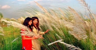 শরতের শুভ্রতায় সেজেছে কুমিল্লা বিশ্ববিদ্যালয় ক্যাম্পাস