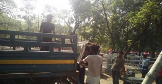 দুই দফা ভাঙচুর, ঢাবিতে বর্ষবরণের কনসার্ট বাতিল