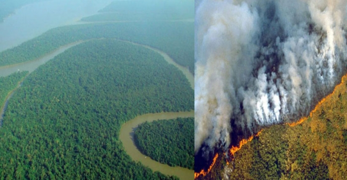 ছবি: ইন্টারনেট