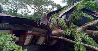 বুলবুলের তাণ্ডবে পাঁচ নারীসহ ৮ জনের মৃত্যু