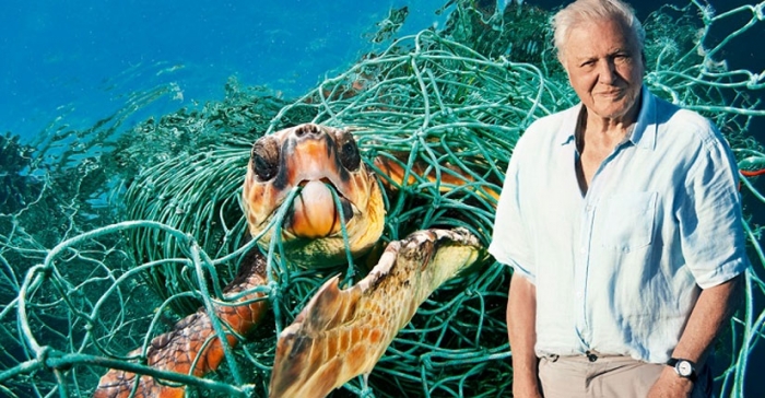 ছবি: ইন্টারনেট