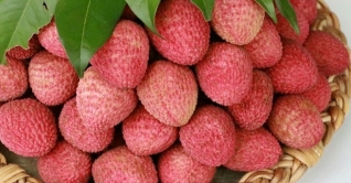 মৌসুমী ফলে জমজমাট কুমিল্লা শহরের বাজার