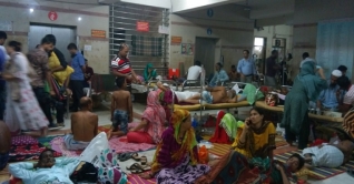 ২৪ ঘণ্টায় হাসপাতালে ভর্তি ৭১৬ ডেঙ্গু রোগী