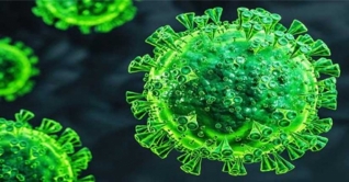 নবাবগঞ্জে ৭ জনের দেহে করোনার ভারতীয় ধরন শনাক্ত