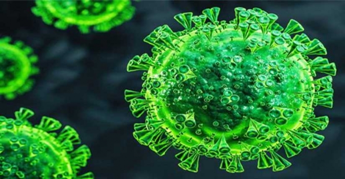 ছবি: ইন্টারনেট