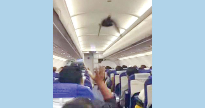 ছবি: সংগ্রহিত।