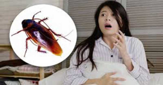 তেলাপোকা মারতে গিয়ে অ্যাপার্টমেন্টে আগুন, নিহত এক নারী