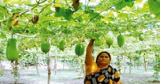 নারী ও শিশুদের উন্নয়নে সফল বাংলাদেশ