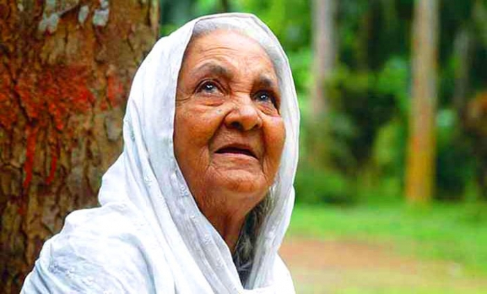 ফাইল ছবি