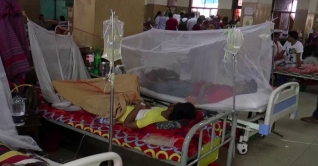 ২৪ ঘণ্টায় ডেঙ্গুতে আক্রান্ত এক হাজার ৩৩৫ জন