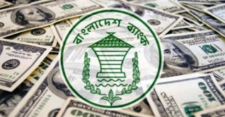 ফেব্রুয়ারিতে প্রবাসী আয় কমছে