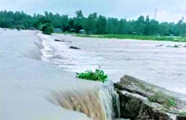 ফাইল ছবি