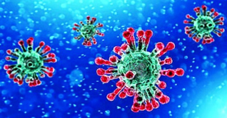 একদিনে আরও ১৭ জনের করোনা শনাক্ত একদিনে আরও ১৭ জনের করোনা শনাক্ত