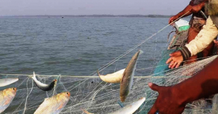 সাগরে ৬৫ দিনের জন্য মাছ ধরা বন্ধ