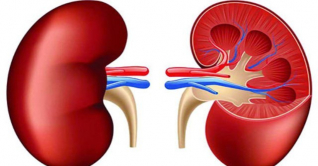 যেভাবে বুঝবেন আপনার কিডনিতে সমস্যা যেভাবে বুঝবেন আপনার কিডনিতে সমস্যা