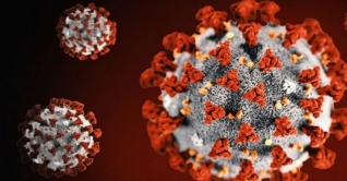 করোনায় আক্রান্ত সন্দেহে ফমেক হাসপাতালে দম্পতি ভর্তি