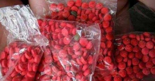 মৃত নারীর পেট থেকে ১৫০০ পিচ ইয়াবা উদ্ধার