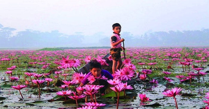 ফাইল ছবি