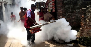 ওষুধ ছিটিয়েও রাজধানীতে কমছে না মশার উৎপাত