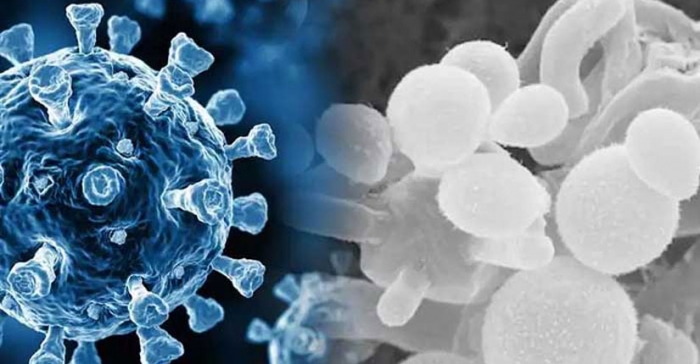 ছবি: ইন্টারনেট