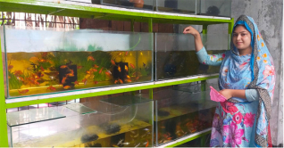 রঙিন অ্যাকুরিয়াম ফিসে উদ্যোক্তা রিতির সফলতা
