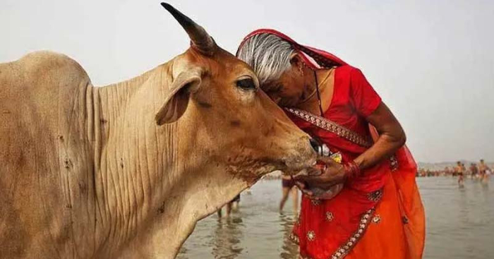 ছবি: সংগ্রহিত।
