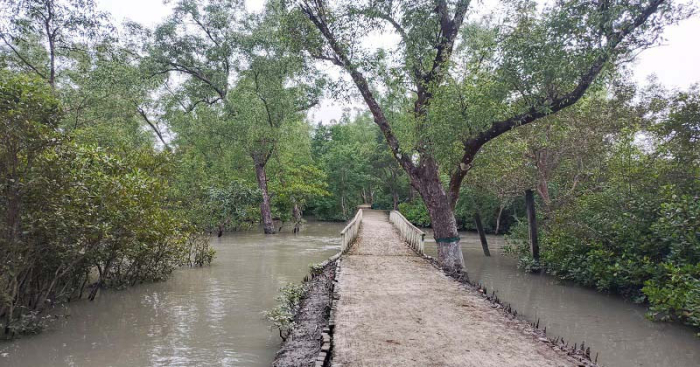 ছবি: সংগ্রহিত।
