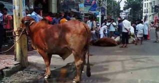 ঈদের দ্বিতীয় দিনেও চলছে পশু কোরবানি