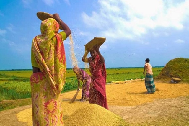 বিশ্ব গ্রামীণ নারী দিবস আজ