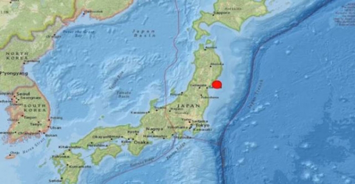 ছবি: ইন্টারনেট