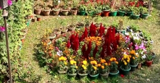 দুর্গম পাহাড়ের গভীর অরণ্যে ফুলের বাগান