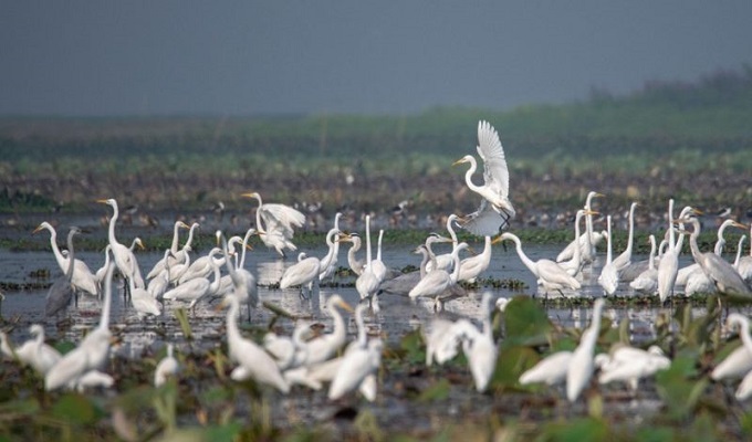 ছবি: সংগ্রহিত।