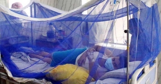 ডেঙ্গু আক্রান্ত হয়ে আরও ১৮৪ জন হাসপাতালে ভর্তি