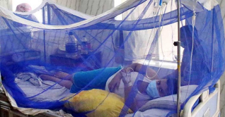 ডেঙ্গু: ২৪ ঘণ্টায় ২৭৯ জন হাসপাতালে ভর্তি ডেঙ্গু: ২৪ ঘণ্টায় ২৭৯ জন হাসপাতালে ভর্তি