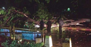কালবৈশাখী ঝড়ে ঢাকায় নিহত অন্তত ৬